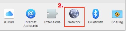 network (1).jpg
