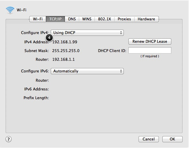 Find your IPv4 Address - Apple macOS 4.png